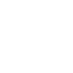 holster